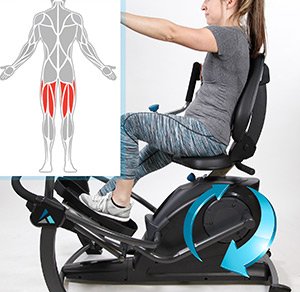 Teeter FreeStep Hamstrings