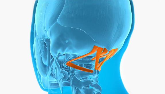Neck Restore - Ergonomic Neck Healing Tool - Self Massage