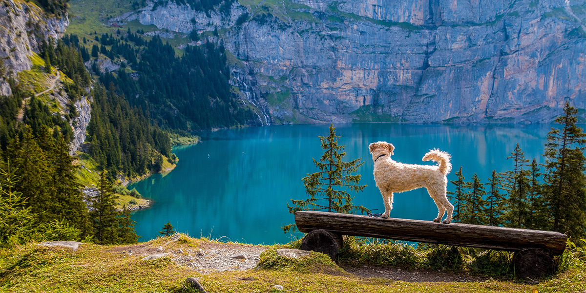 5 Tips for Pain-Free Travel